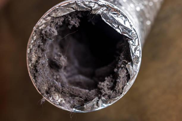 Best Professional Duct Cleaning Services  in Port Orange, FL